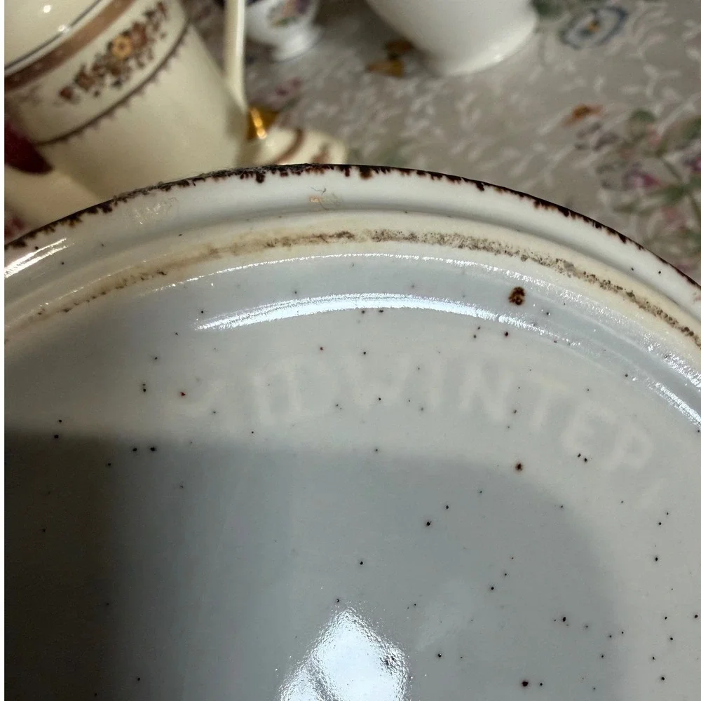 Midwinter Stonehenge Bamboo Coffee Pot Teapot Speckled Stoneware England MCM